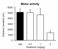 Motor activity bar chart