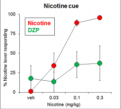 Nicotine cue